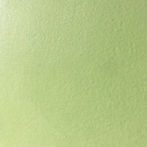 Meet your Posher, Lili